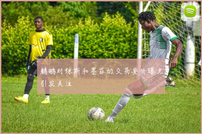 鹈鹕对琼斯和墨菲的交易要价曝光引发关注